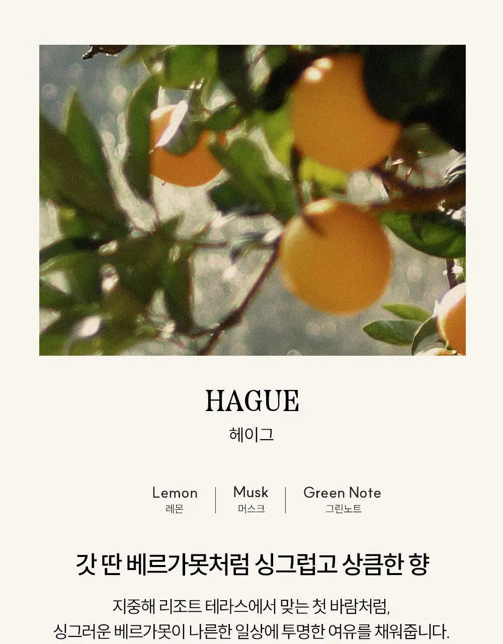 [1위/우디향 디퓨저] 코칸 오브제 디퓨저 170ml 6종 택 1 상세페이지 25